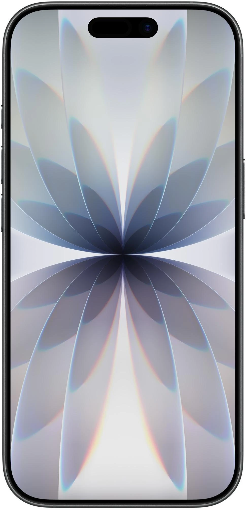 Apple iPhone 17 256 GB Schwarz